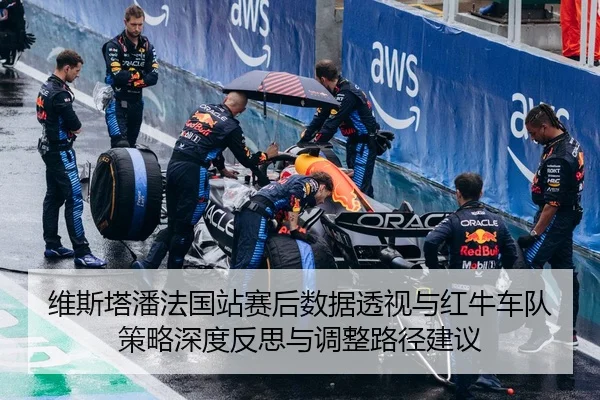 维斯塔潘法国站赛后数据透视与红牛车队策略深度反思与调整路径建议