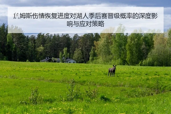詹姆斯伤情恢复进度对湖人季后赛晋级概率的深度影响与应对策略